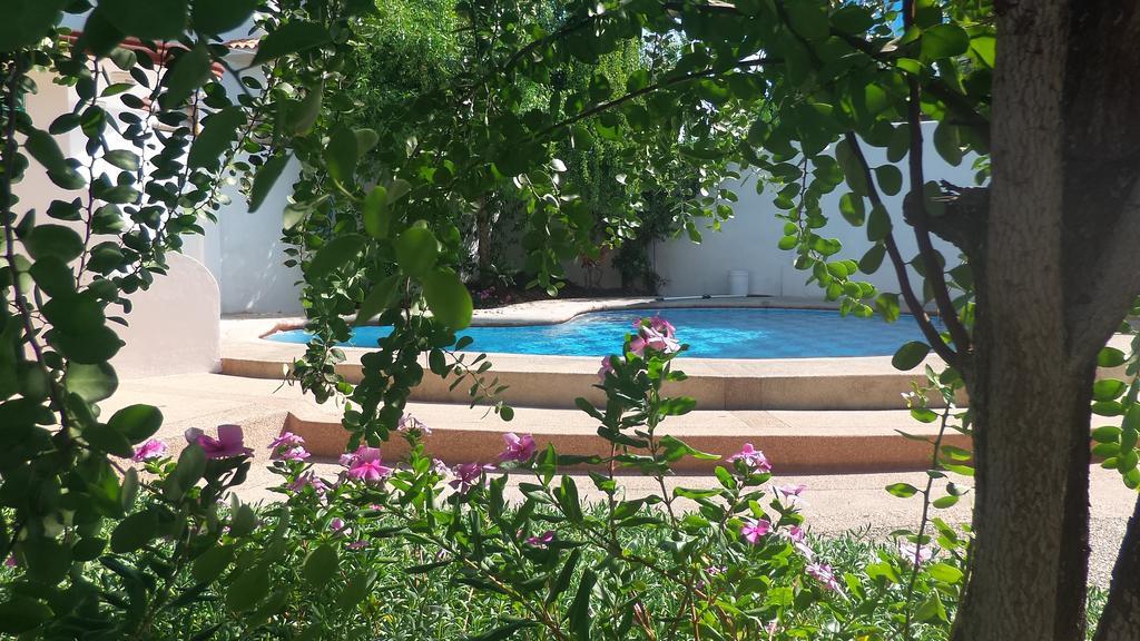 Galapagos House Hostel Puerto Ayora  Εξωτερικό φωτογραφία