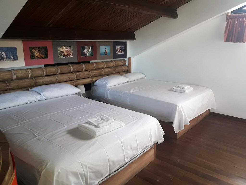 Galapagos House Hostel Puerto Ayora  Εξωτερικό φωτογραφία